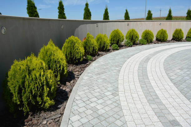 Best Driveway Paving Contractor  in Electra, TX